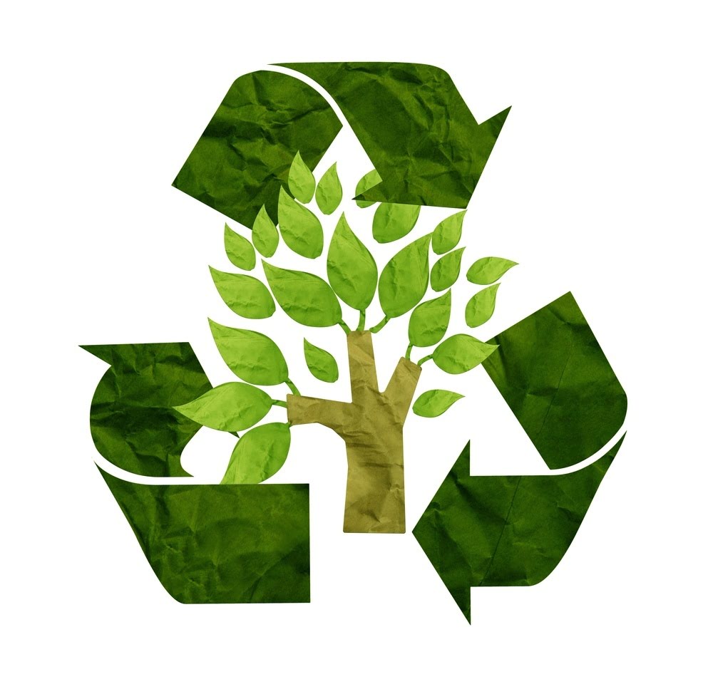 Куда сдать макулатуру в Ростове